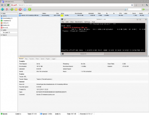 rTorrent mit Farbinterface und ruTorrent